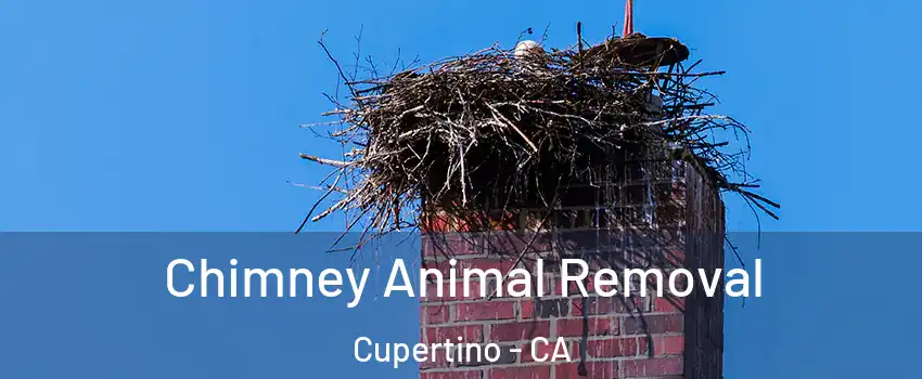 Chimney Animal Removal Cupertino - CA