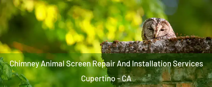  Chimney Animal Screen Repair And Installation Services Cupertino - CA