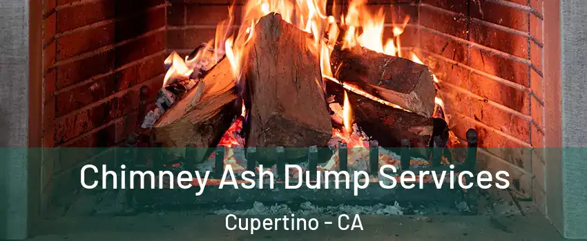  Chimney Ash Dump Services Cupertino - CA