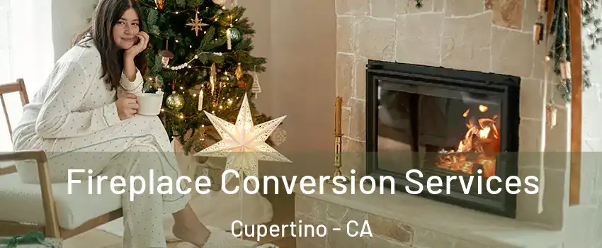  Fireplace Conversion Services Cupertino - CA